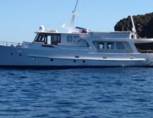 power sailboats for sale