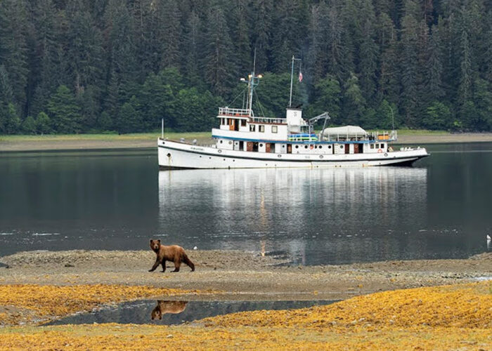 Sacajawea Boat and Bear